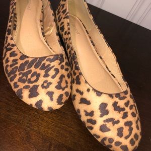 Lame Bryant flats size 11w worn once